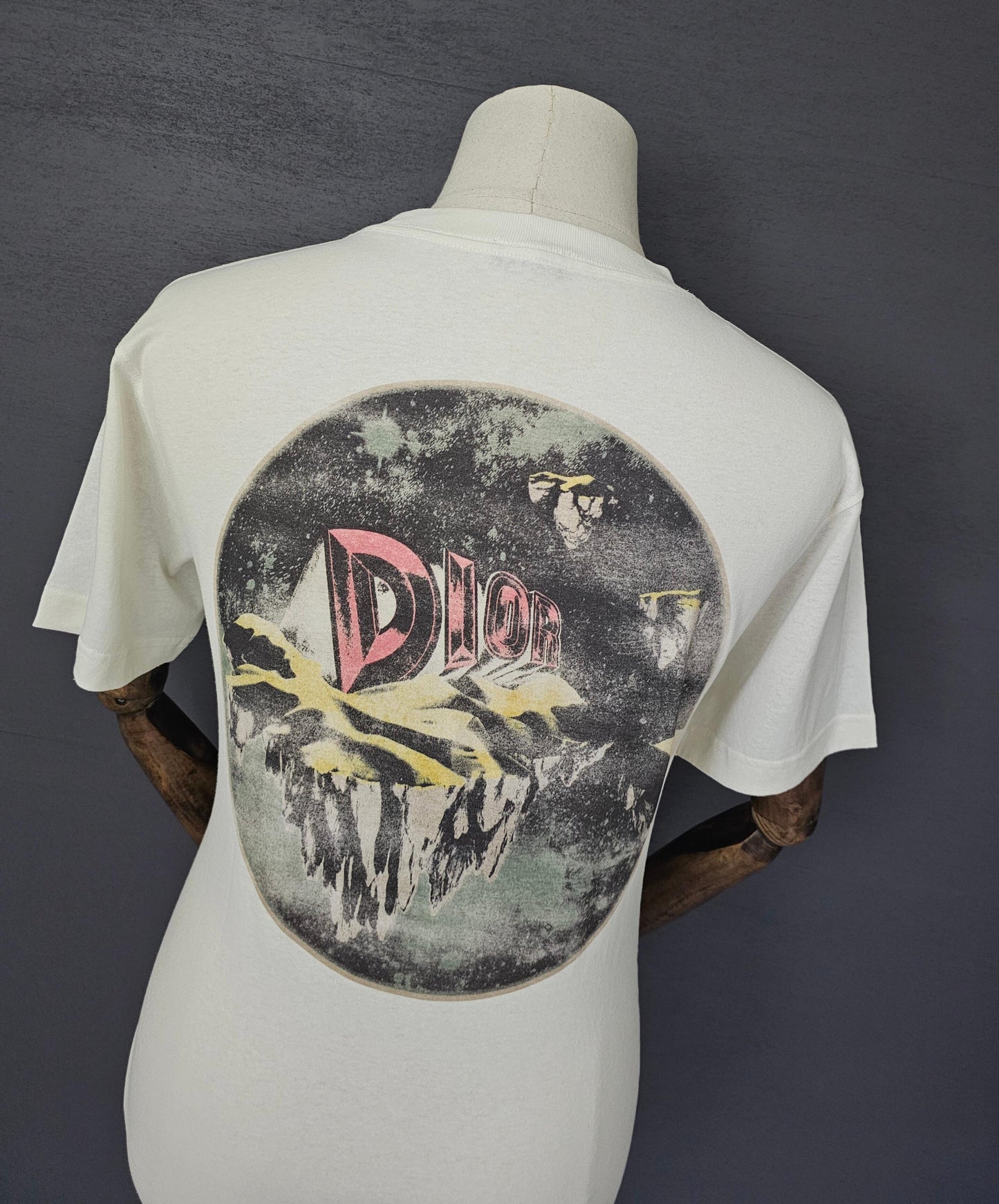DIOR Homme Astero Logo Jersey T-Shirt