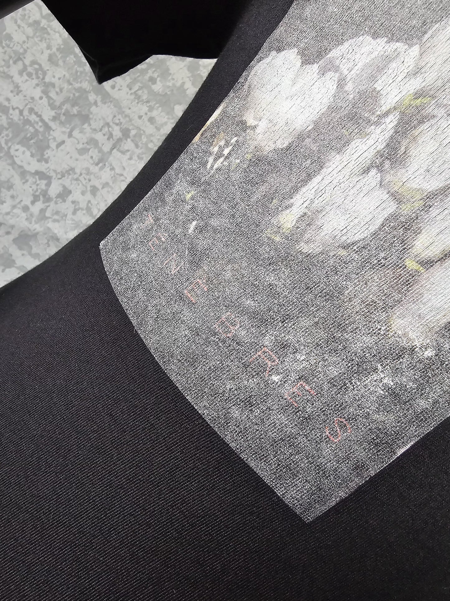 DIOR x Dan Witz Rare Embroidered Print T-Shirt