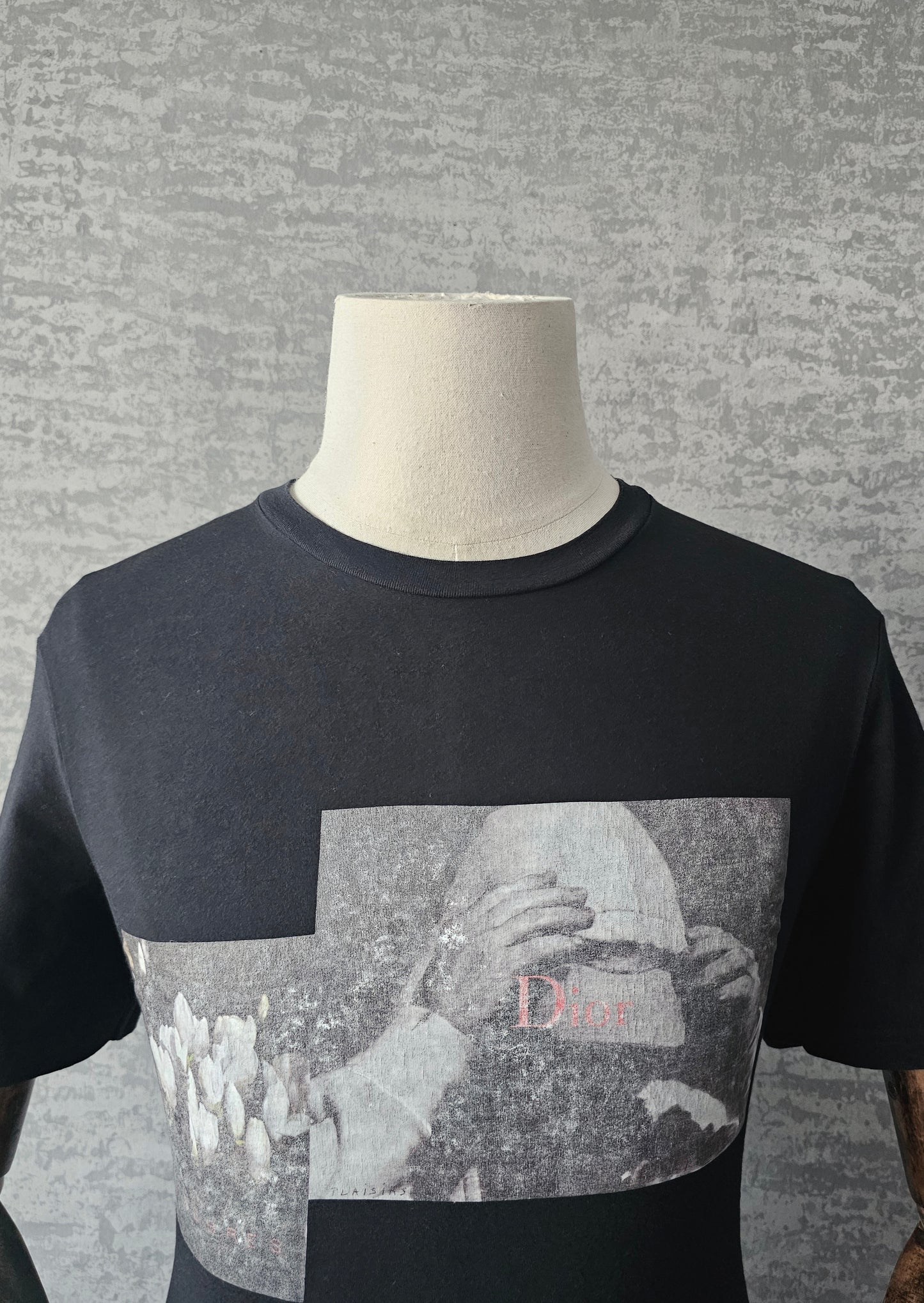 DIOR x Dan Witz Rare Embroidered Print T-Shirt