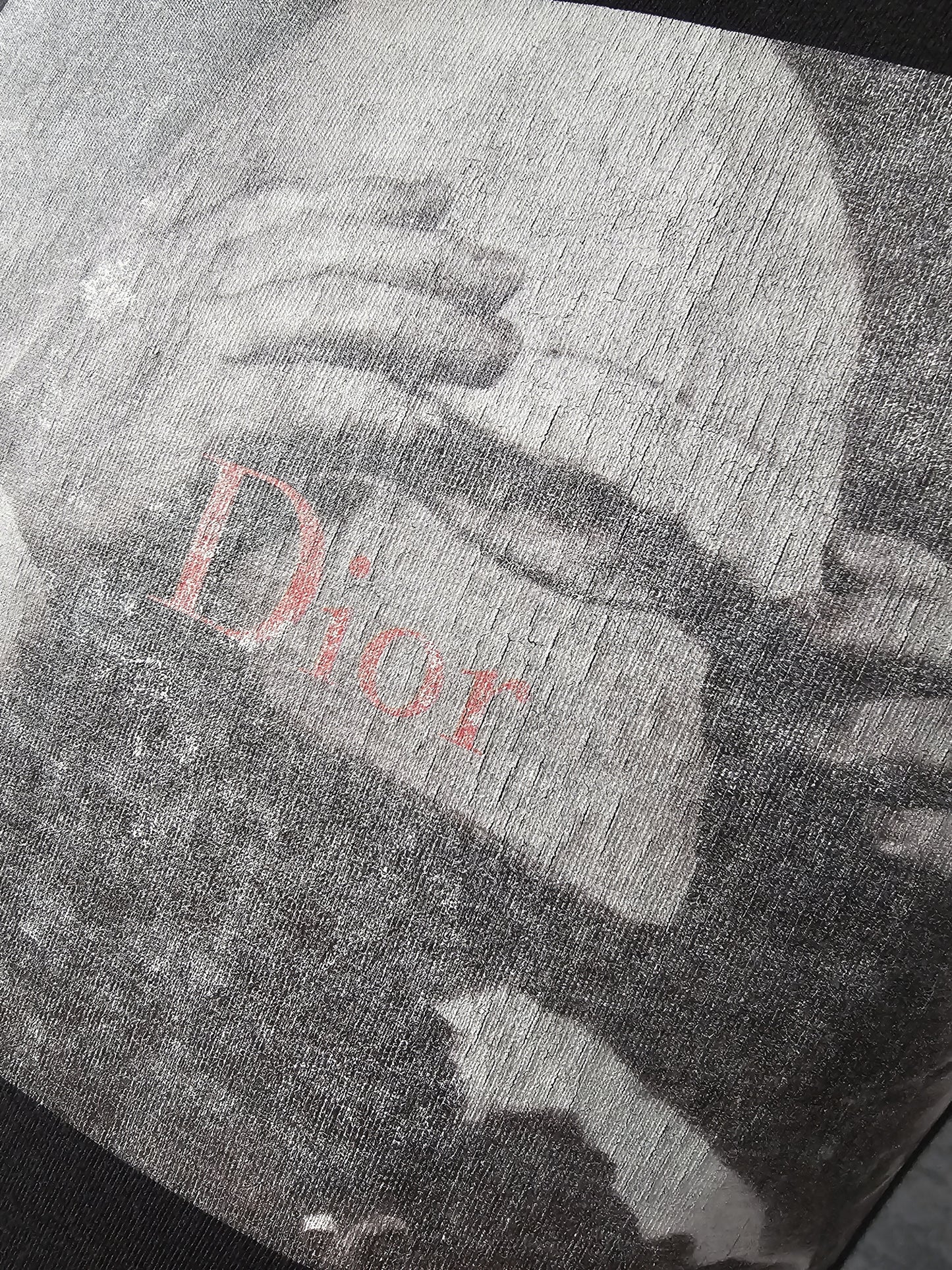 DIOR x Dan Witz Rare Embroidered Print T-Shirt