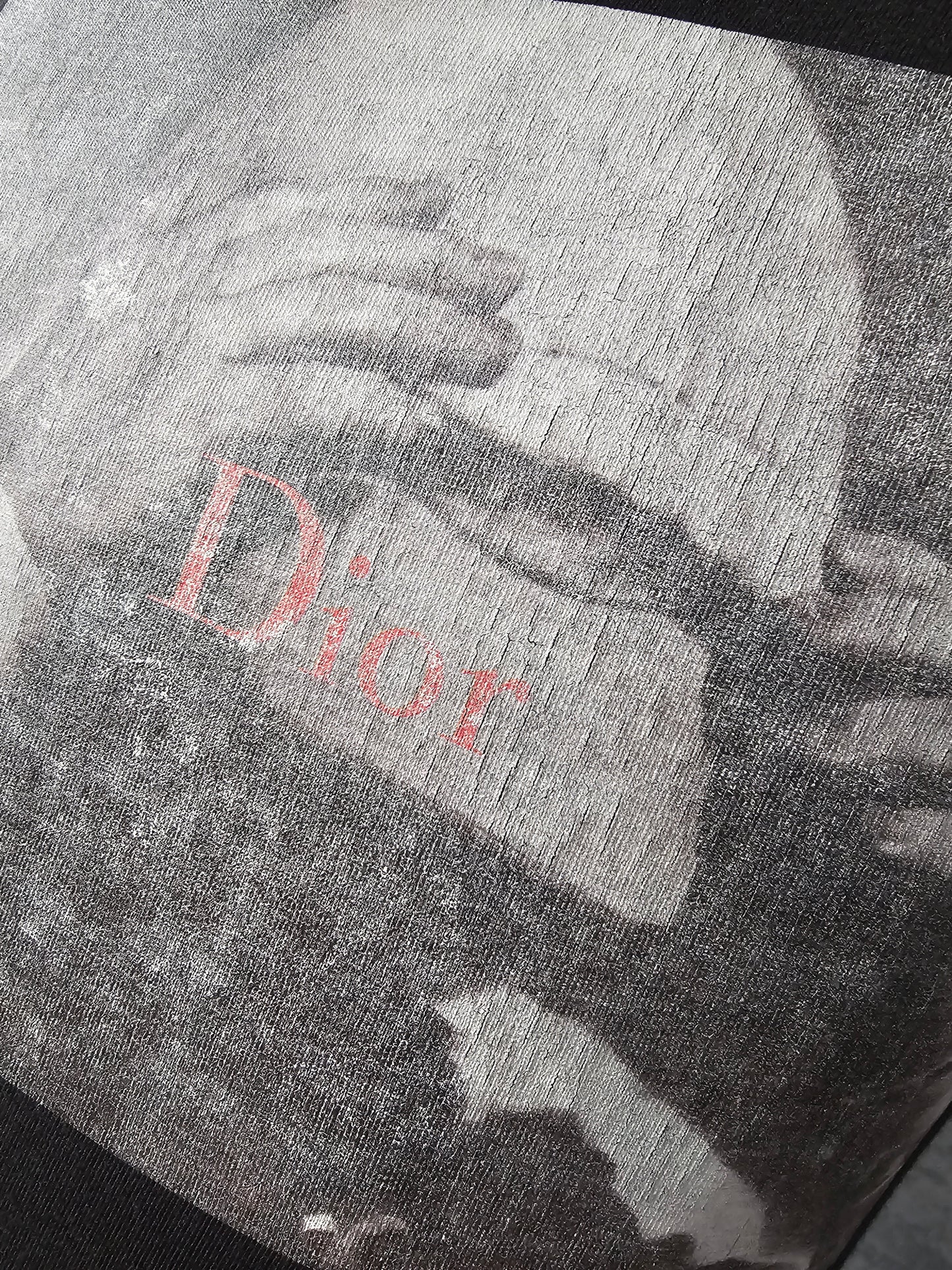 DIOR x Dan Witz Rare Embroidered Print T-Shirt